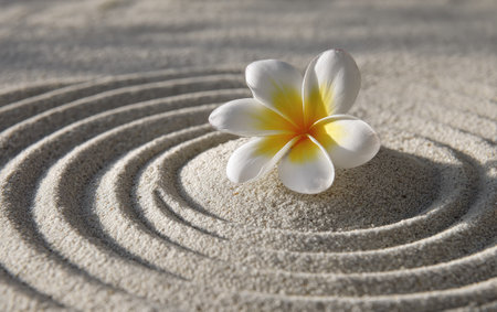 A single frangipani flower rests on textured sand, its white petals edged with yellow. Concentric circular patterns surround the flower, creating shadows. The image suggests a serene environment with soft lighting. Suitable for projects related to wellness, nature, or relaxation.の素材
