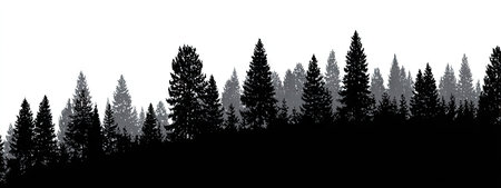 The image presents a stark silhouette of evergreen trees set against a bright white backdrop. The composition uses shades of black and grey to define the forest against the sky. This design, with its minimalist style, suggests a natural outdoor setting. Ideal for a variety of uses, including background imagery and design elements.の素材