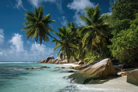A vibrant image depicts a tropical beach with palm trees, clear blue water, and a bright sky. The composition showcases a tranquil scene with sand, rocks, and lush greenery. The photograph, with its natural light and inviting atmosphere, may be used for travel or environmental content.の素材