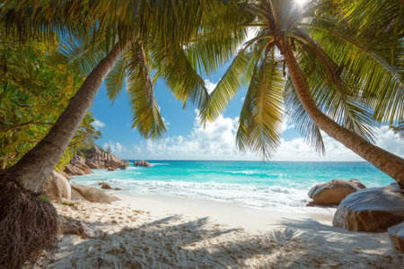 A picturesque beach scene features a white sandy shore with palm trees casting shadows. The turquoise ocean meets the clear blue sky under bright sunlight. Large rocks are scattered along the coastline. This image is suitable for various uses including travel promotions and environmental content.の素材