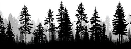 A black and white image portrays a forest landscape with layered pine trees. The composition uses silhouettes to create depth and contrast. The image evokes a sense of wilderness, potentially suited for nature-themed projects or background design elements, offering versatile usage for various commercial applications.の素材
