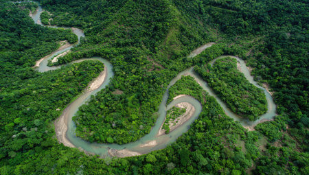 An aerial perspective captures a meandering river carving its way through a vibrant green forest. The scene is dominated by dense vegetation, and the river's winding path creates a natural pattern. This high-angle shot, under natural lighting, offers potential for various commercial and editorial applications.の素材