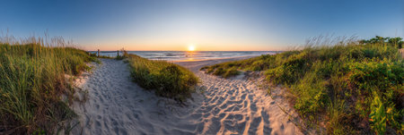 An expansive panoramic view showcases a sandy path leading toward the ocean at dawn. The scene is bathed in warm sunlight, highlighting the textures of the sand and surrounding vegetation. This tranquil outdoor environment can be used for various commercial and editorial projects.の素材
