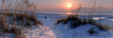 A scenic view depicts a coastal landscape with sand and tall grass in the foreground. The horizon meets the sky, illuminated by the setting sun. The composition features natural elements. This image could be used for travel, environmental, or scenic purposes.の素材