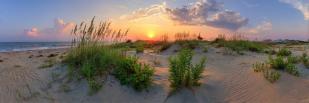 A panoramic view captures a coastal scene at sunset. Sand dunes and beach grass are in the foreground, with the ocean in the background. Warm colors of the setting sun light the sky, which includes a few clouds. This image can be used in various commercial and editorial contexts.の素材