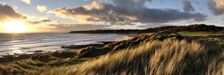 The image presents a coastal landscape featuring a beach, ocean, and grassy dunes under a dramatic sky. Warm sunlight illuminates the scene, highlighting the texture of the grass and water. This image could be used for various projects, including environmental themes and travel promotions.の素材