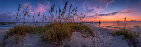 A coastal scene showcases beach grasses in the foreground, leading the eye to the ocean at sunset. The sky displays a vibrant gradient of colors, transitioning from orange to blue. The composition and lighting suggest outdoor settings and could be used for travel, nature, or scenic themes.の素材