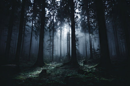 The image showcases a dense forest with towering trees, bathed in a mysterious light. The composition is dominated by vertical lines and a deep, moody color palette. Atmospheric lighting filters through the canopy, highlighting the forest floor. This scene could be suitable for editorial content or illustrative purposes, conveying a sense of wonder.の素材