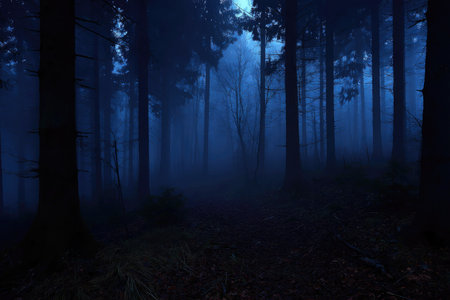 A deep, atmospheric image presents a dark forest at night, dominated by towering trees and a dense layer of fog. The color palette is primarily shades of blue and black. The composition suggests a quiet, natural setting, with potential applications in editorial or artistic projects.の素材