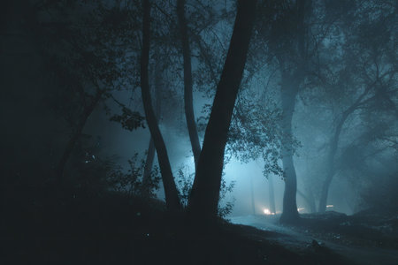 A night scene reveals a forest with tall trees and a hazy atmosphere. The composition features silhouettes against a backdrop of diffused blue light, possibly from a distant source. The overall mood is dark and mysterious, suggesting an outdoor setting. This image might be suited for editorial content or design projects.の素材