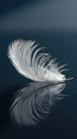 A single, pristine white feather is prominently displayed against a dark, reflective backdrop. The feather appears soft, with intricate details visible, and casts a clear reflection. The lighting suggests a studio environment, emphasizing texture and form. This image could be suitable for artistic projects and visual storytelling.の素材