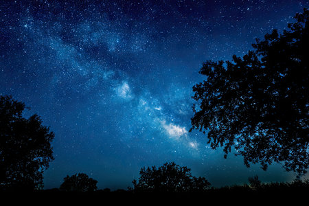 A night scene reveals a vast dark blue sky filled with countless bright stars and a milky way. Silhouetted trees frame the composition, creating a stark contrast against the cosmic background. This image's dramatic lighting and rich colors offer potential use in various commercial projects.の素材
