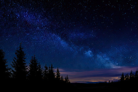A stunning nighttime scene features a vibrant display of stars against a deep blue canvas. Silhouetted trees define the horizon creating a contrast. The composition uses natural lighting and dark tones. Suitable for various visual applications, this imagery provides a sense of wonder and serenity.の素材