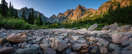 A rocky riverbed leads towards mountain peaks under a bright blue sky. The landscape features gray and brown rocks in the foreground. Lush green trees and vegetation frame the mountains, bathed in sunlight. The image could be used for environmental, travel, or nature-themed projects.の素材
