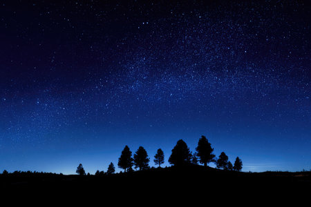 A dark silhouette of trees sits against a backdrop of a deep blue night sky. Numerous bright stars illuminate the upper portion of the image. The composition focuses on contrast between the earth and sky. This image could be used for various commercial or editorial applications.の素材