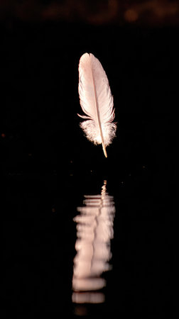A single white feather hovers over dark water, its subtle reflection creating a mirrored image. The composition features soft lighting that accentuates the feather's texture. This serene scene is ideal for various visual projects, including those related to nature, serenity, or artistic concepts.の素材