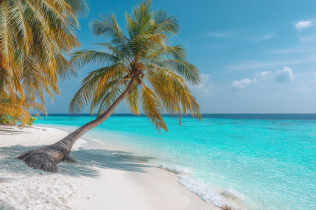 A tropical beach is the focus, with a leaning palm tree extending over white sand. The scene showcases vibrant turquoise water meeting the clear blue sky. The composition is likely to be used for commercial projects, evoking feelings of relaxation and travel. The image displays a natural, sunny environment with potential for various applications.の素材