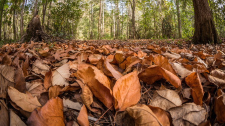 A close-up view shows an expansive carpet of fallen leaves in warm autumnal hues. The leaves exhibit textured surfaces and varying shades of brown and orange, creating a rich, natural pattern. The composition includes a blurred background of tall, green trees under diffused daylight. This image may be suitable for nature-themed projects or environmental content.の素材