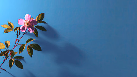 A single pink flower with green leaves is presented against a vibrant blue background. The composition uses natural light, creating shadows and enhancing the texture of the flower and leaves. This image is suitable for a variety of editorial and commercial projects that require a clean and simple aesthetic.の素材