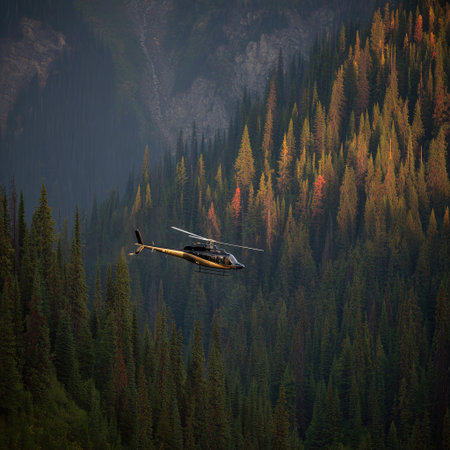 Helicopter flying over the forest in the mountains. Aerial viewの素材