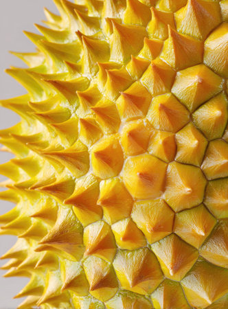 This close-up showcases the textured surface of a durian fruit, featuring a pattern of spiky, yellow scales. The image highlights the details of the fruit's exterior. This image could be used for food, agriculture, or design-related projects, offering a visual element for various commercial and editorial applications.の素材