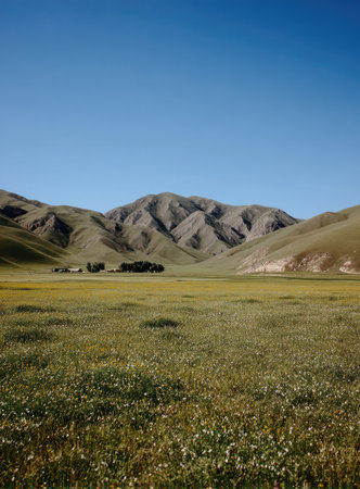 A scenic landscape showcases a vibrant green meadow at the foreground, transitioning into rolling hills and a majestic mountain range. The image is bathed in sunlight, with a clear blue sky providing a contrasting backdrop. This photograph could be used for editorial purposes or to enhance creative projects.の素材