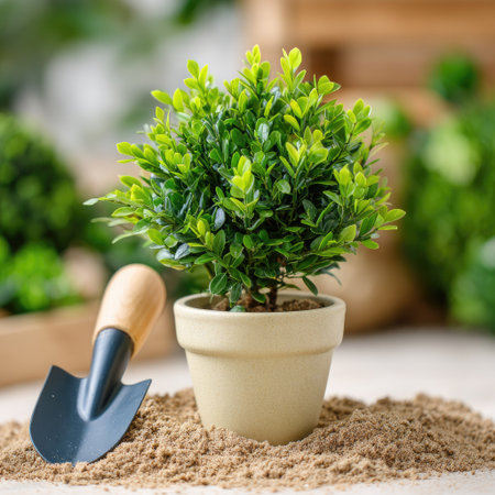 A vibrant green plant in a beige pot sits on a bed of soil. Next to it, there is a gardening tool. The image features natural lighting and a shallow depth of field, emphasizing the plant's texture. The composition suggests an outdoor or indoor setting. Suitable for illustrating gardening or horticultural themes.の素材
