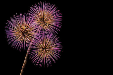 This image showcases a vibrant fireworks display. The composition features several bursts against a dark backdrop. The visual characteristics include streaks of color and a radial arrangement, with a focus on light and contrast. Suitable for editorial and commercial use, creating backgrounds.の素材