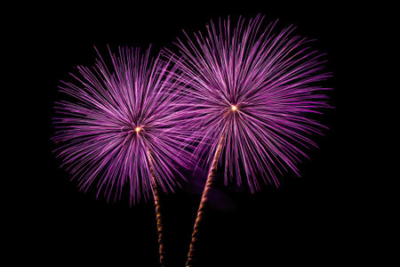 Two bright purple fireworks explode against a black backdrop. The image displays a radial composition, showcasing the texture and detail of the bursting pyrotechnics. The scene has strong contrast due to the dark background and overhead lighting, indicating an evening setting. Suitable for various celebratory projects.の素材