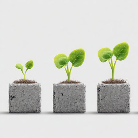 Three potted plants in concrete cubes showing stages of growth against a white backgroundの素材