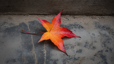 A close-up captures a colorful leaf displaying shades of red and orange against a textured surface. The leaf's intricate details are highlighted by natural lighting. This composition, suggestive of autumn, could be utilized in various commercial and editorial projects. The image presents a visually appealing, natural element.の素材