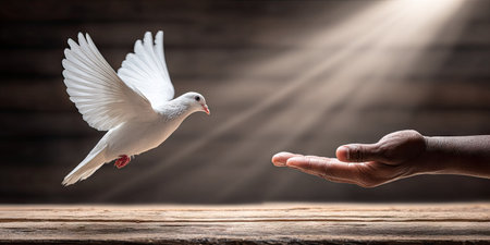A white dove flies towards a human hand in an image with a dark wooden background and beams of light. The composition features a dove in flight and a hand extended to receive it. It may be suitable for themes related to spirituality, hope, or support and could be used in various commercial or editorial applications.の素材