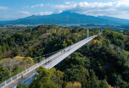 An aerial perspective showcases a long suspension bridge spanning a lush, green landscape. The bridge's white structure contrasts with the vibrant foliage of the trees below. A large mountain dominates the background under a blue sky. Suitable for travel, tourism, or landscape-related commercial projects.の素材
