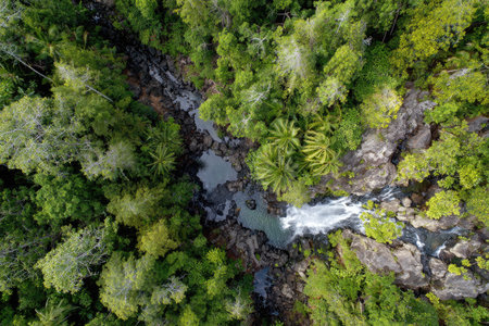 An aerial perspective showcases a vibrant green forest, dominated by various trees. A river weaves through the landscape, marked by waterfalls and rocky formations. The scene is bathed in natural light, creating a dynamic visual composition suitable for environmental or travel-related publications. This image could be employed in various commercial projects.の素材
