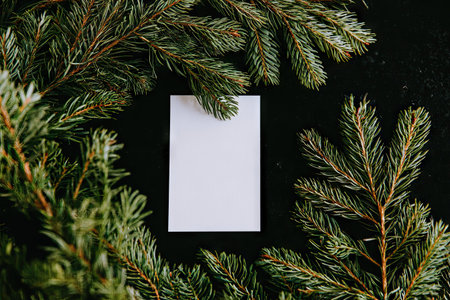 An overhead shot displays a plain, rectangular card centrally positioned within a frame of vibrant green pine branches. The card presents a blank space, inviting potential text or design elements. The dark backdrop accentuates the bright greenery, potentially suitable for seasonal themes or product presentations.の素材