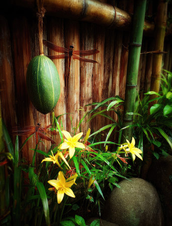 An image showcases a green fruit suspended against a background of bamboo and wooden planks. Bright yellow flowers bloom in the foreground with vibrant green foliage. The composition uses natural light. It could be suitable for editorial use or as a decorative element.の素材