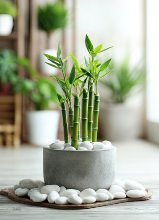 A vibrant green bamboo plant stands upright in a gray concrete pot, surrounded by smooth white stones. The composition features soft lighting and a shallow depth of field, highlighting the plant's texture. This image could be used for various purposes including home decor, environmental design, or wellness-related content.の素材
