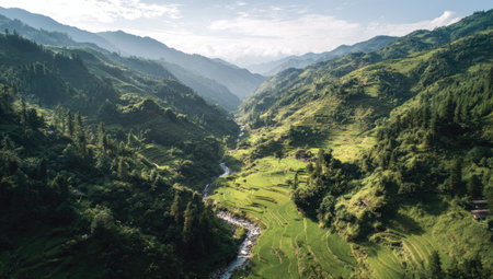 An aerial view presents a lush green mountain valley with a winding river. Sunlight streams across the terrain highlighting the textures of trees and slopes. The image displays a natural setting with a sense of depth suggesting potential use in various editorial or commercial projects.の素材
