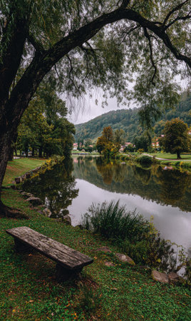 A picturesque landscape presents a river meandering through a valley. A wooden bench sits beneath a large tree, alongside lush green grass and vegetation. The image displays natural light, with a focus on color and texture to illustrate a serene environment. Suitable for editorial and commercial applications.の素材