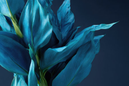 This image presents an artistic close-up of teal-colored foliage, featuring soft, flowing petals. The composition showcases a gentle, layered texture with a focus on light and shadow. The dark background enhances the visual depth and could be used for various commercial or decorative purposes.の素材
