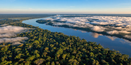 An aerial perspective showcases a large river winding through a dense, green forest. White clouds partially obscure the waterway, creating a sense of depth. The image displays natural colors with soft lighting. Suitable for environmental, travel, and landscape-themed projects.の素材