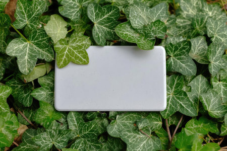 A rectangular, white object rests on a dense bed of green ivy leaves, creating a contrasting visual. The overhead composition emphasizes the natural, textured backdrop. This image, with its simple yet striking aesthetic, can be used for communication purposes. It allows for text insertion and provides copy space for a variety of editorial or commercial purposes.の素材