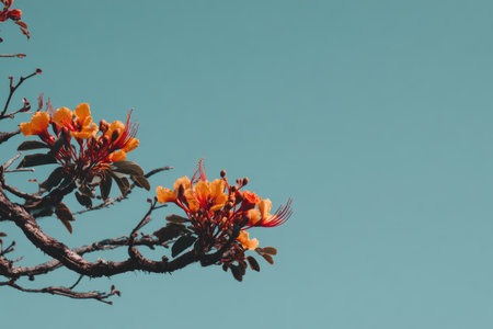 A branch bearing vibrant orange flowers is set against a serene, clear blue background. The image showcases natural elements with a focus on color and texture. Its composition and lighting suggest outdoor conditions, ideal for commercial uses promoting nature or botanical themes.の素材