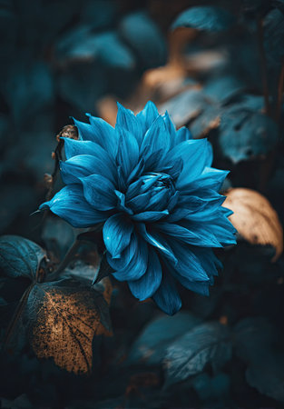 A striking blue flower is the focal point, its intricate petals and form highlighted. Surrounding it are green and brown leaves, creating a rich texture. The composition utilizes shallow depth of field, with soft lighting enhancing the details. This image is suitable for various commercial uses, including artistic designs and decorative projects.の素材