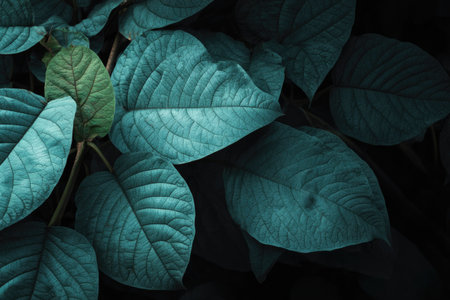 This image presents a detailed view of large leaves in varying shades of green and teal. The textures are pronounced, and the lighting creates a dramatic effect with deep shadows. The composition and color palette suggest the image could be suitable for use in design, editorial content, or marketing materials.の素材