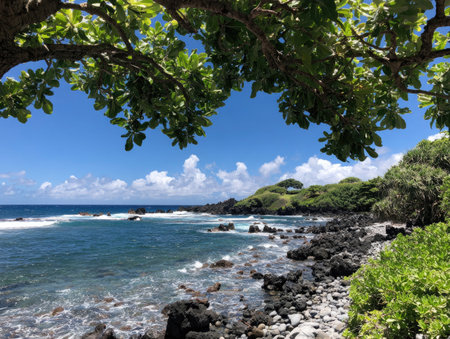 An image showcases a coastal scene featuring a rocky shoreline, blue ocean, and a bright sky with puffy clouds. Overhanging green tree branches frame the view. The composition suggests a sunny day. This versatile image could be used for various purposes including travel, nature, and environmental content.の素材