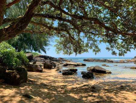 A scenic coastal view showcases a beach with rocks, sand, and ocean. Overhanging tree branches and foliage frame the scene, with sunlight dappling the ground. The image's natural lighting and composition are suitable for diverse uses, potentially in travel, nature, or environmental contexts.の素材
