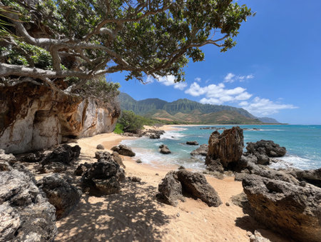 A scenic coastal view features a sandy beach and a rocky shoreline. The image showcases clear blue water under a bright sky. Sunlight illuminates the scene, highlighting the textures of the sand and rocks, with a tree in the foreground. This could be used for various projects.の素材