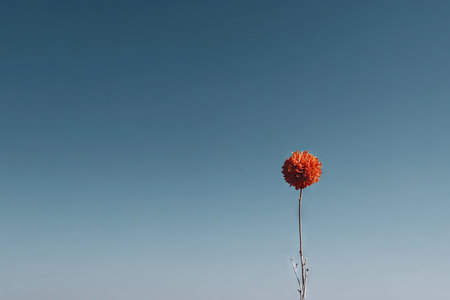 An isolated red flower stands against a solid blue sky background. The minimalist composition highlights the texture of the flower and its delicate stem. The image displays a clear day and overhead lighting, suitable for various uses including editorial and marketing campaigns.の素材