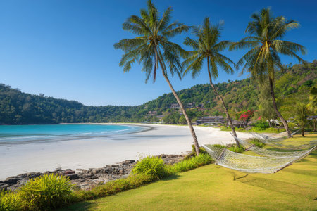 A tranquil beach scene features palm trees gently swaying in the sunlight. The composition includes a white sandy beach, turquoise water, and a clear blue sky. The image suggests a peaceful setting suitable for leisure or travel themes and is suitable for commercial uses.の素材